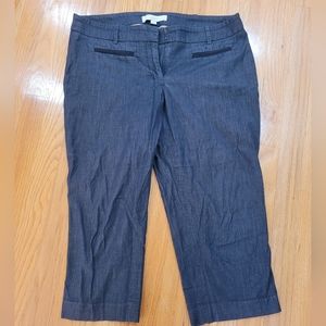 Ann Taylor LOFT petites cropped thin jeans size 10P